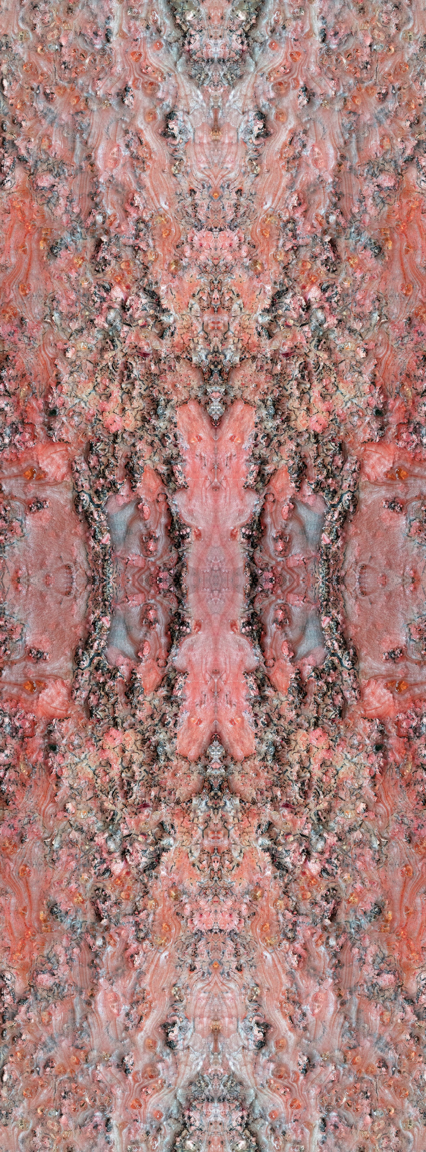 Pink Lady